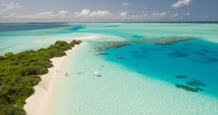 12 điểm khác nhau giữa công dân quốc tịch Châu Âu và Caribbean