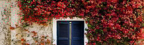 Liiving in Malta - Endevio