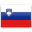 Slovenia-Flag(1)