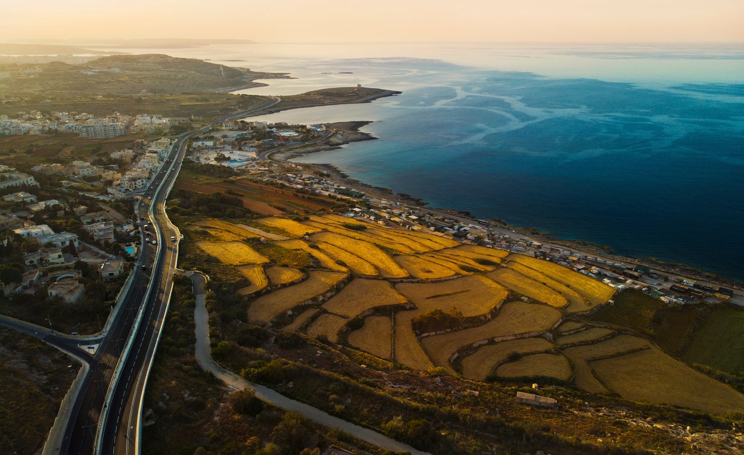 shutterstock_1078629203-1